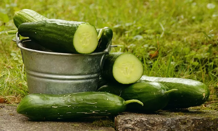 Cucumber Health Benefits